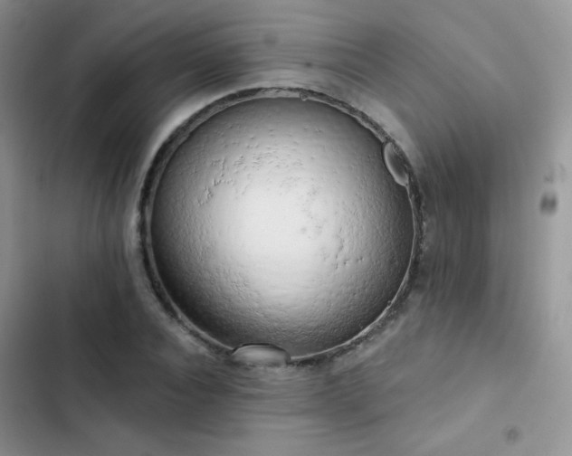 X0000102870928200808181502