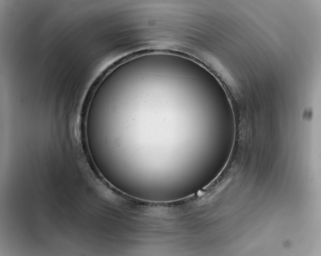 X0000102870932200808181502