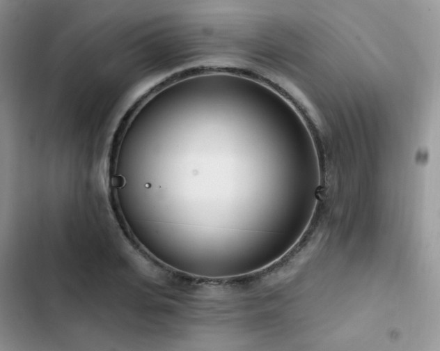 X0000102870935200808181502