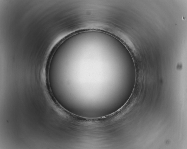 X0000102870936200808181502