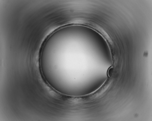 X0000102870939200808181502