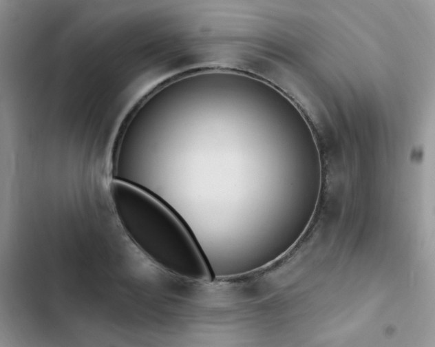 X0000102870940200808181502