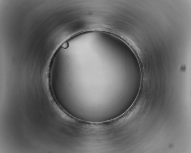X0000102870941200808181502