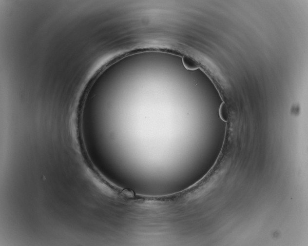 X0000102870942200808181502