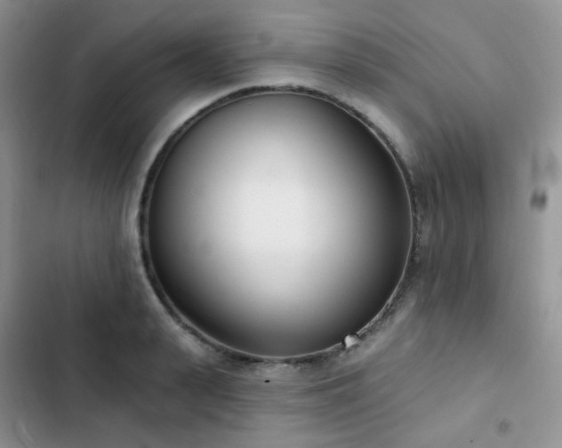 X0000102870943200808181502