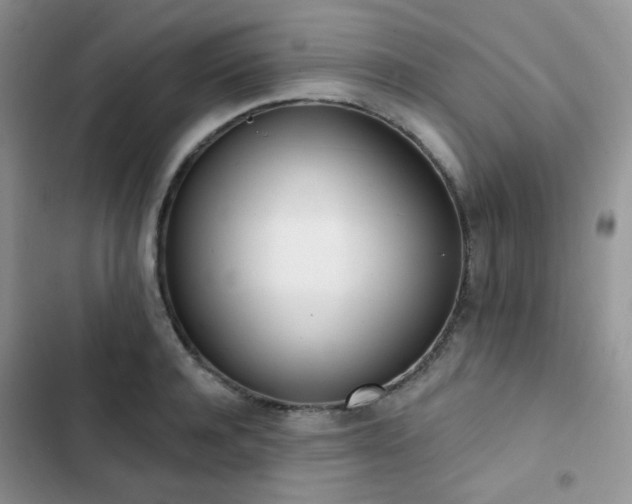 X0000102870944200808181502