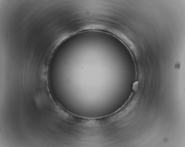 X0000102870945200808181502