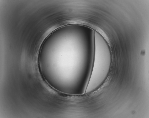 X0000102870946200808181502