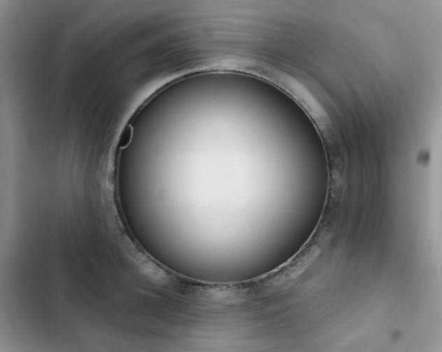 X0000102870948200808181503