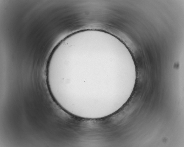 X0000102870950200808181503