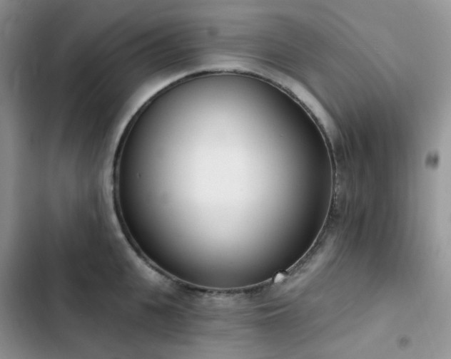 X0000102870951200808181503