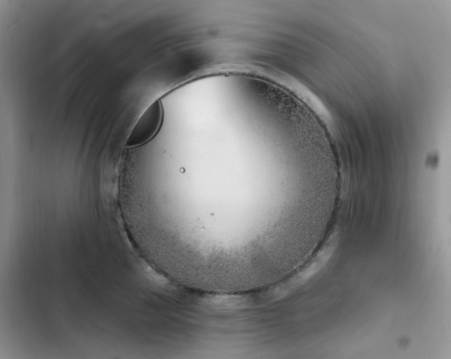 X0000102870953200808181503