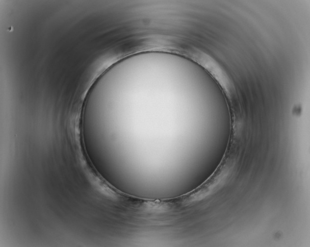 X0000102870954200808181503