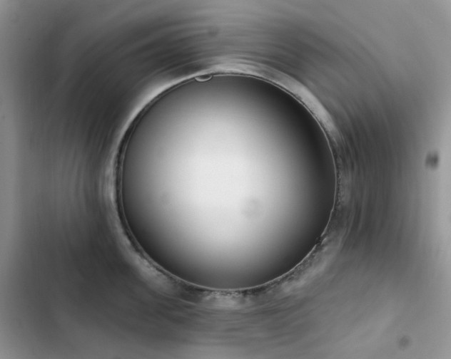 X0000102870955200808181503