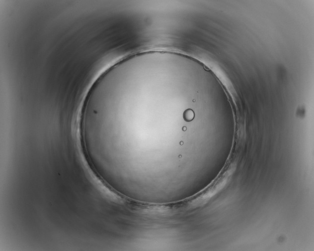 X0000102870957200808181503