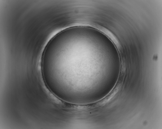 X0000102870958200808181503