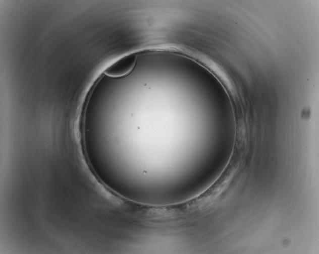 X0000102870959200808181503