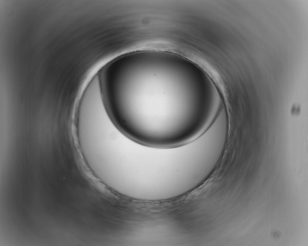 X0000102870960200808181503