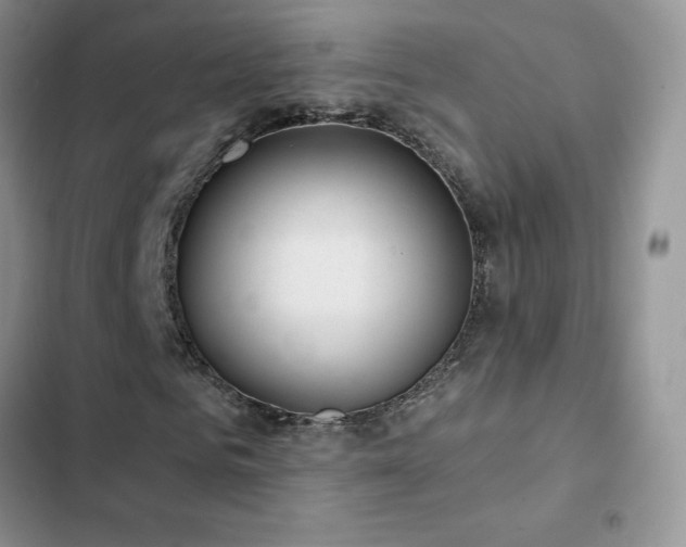 X0000102870961200808181502