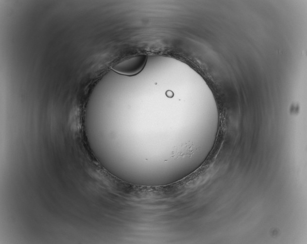 X0000102870962200808181502