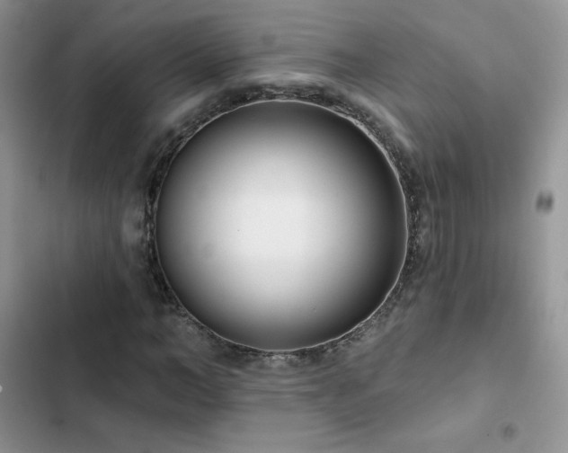 X0000102870966200808181502