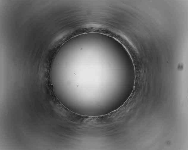 X0000102870967200808181502