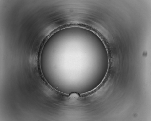 X0000102870969200808181502