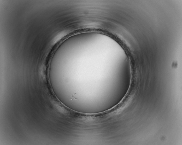 X0000102870970200808181502