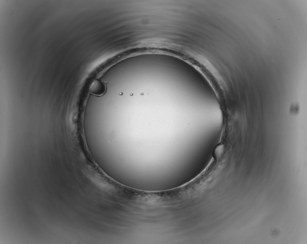 X0000102870971200808181502