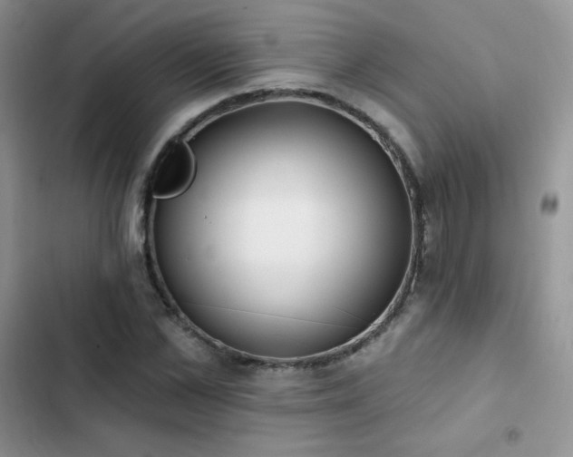 X0000102870973200808181502