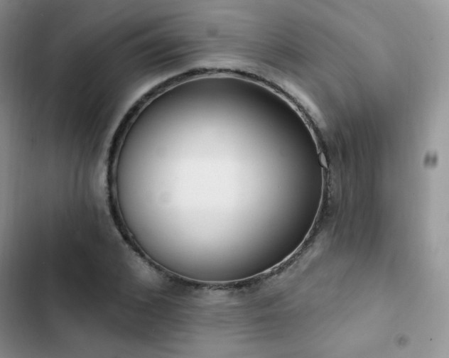 X0000102870976200808181502
