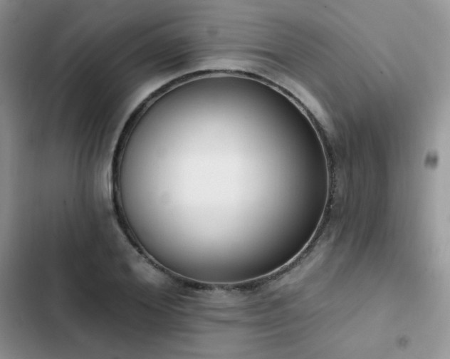 X0000102870980200808181502