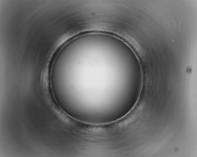 X0000102870982200808181502