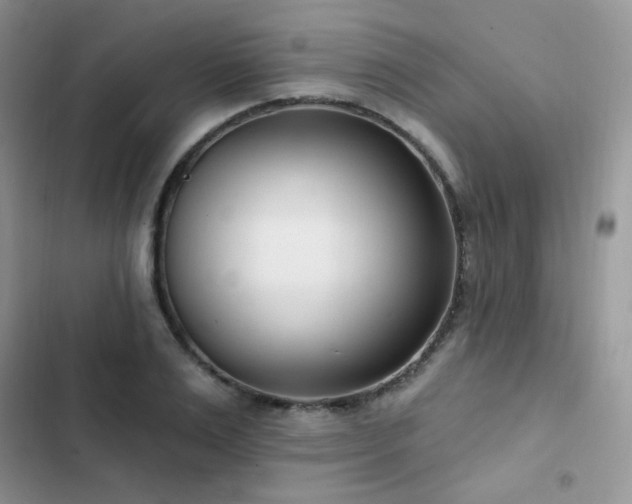 X0000102870983200808181502