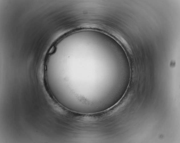 X0000102870984200808181502
