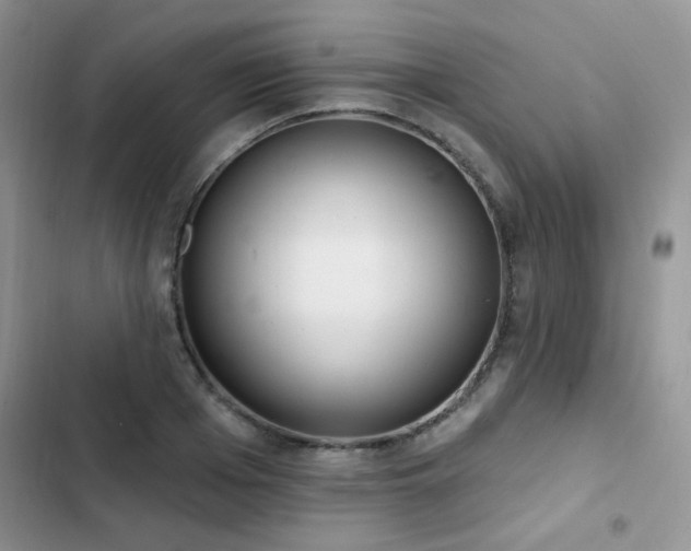 X0000102870985200808181502