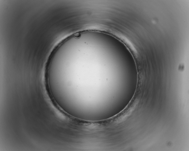 X0000102870991200808181502