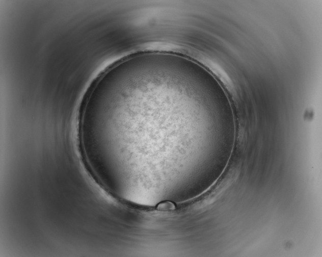 X0000102870992200808181502