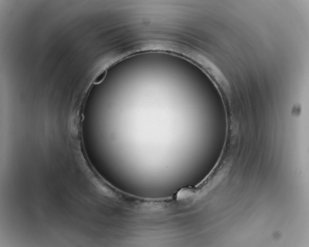 X0000102870993200808181502