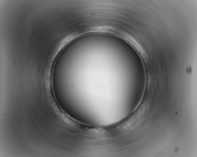 X0000102870994200808181502