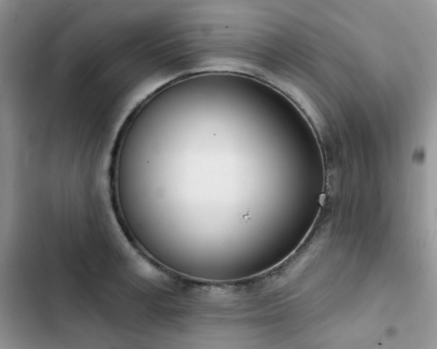 X0000102870995200808181502