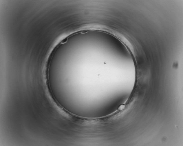 X0000102870997200808181502