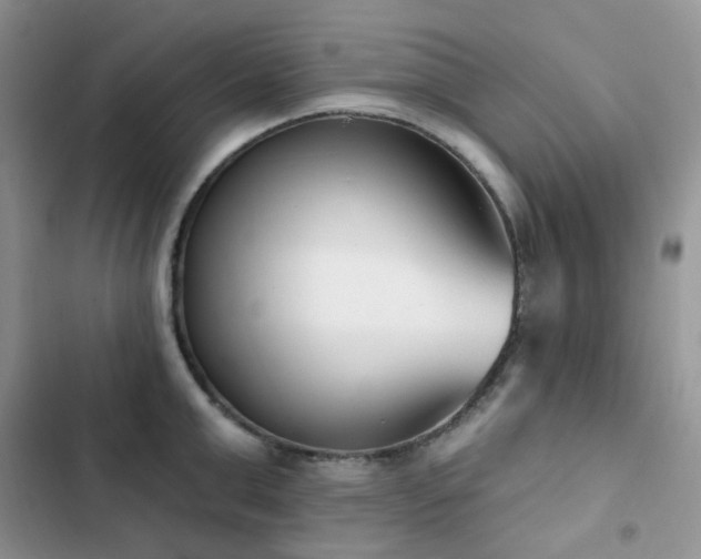 X0000102870999200808181501
