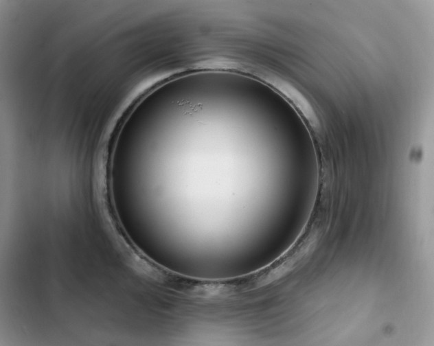 X0000102871000200808181501