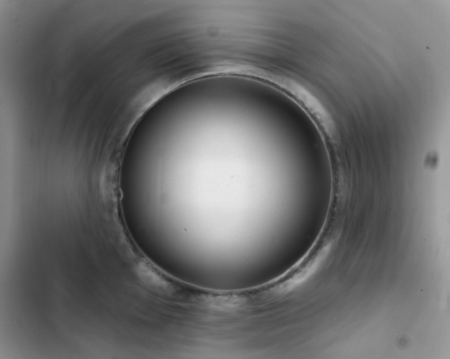 X0000102871001200808181501