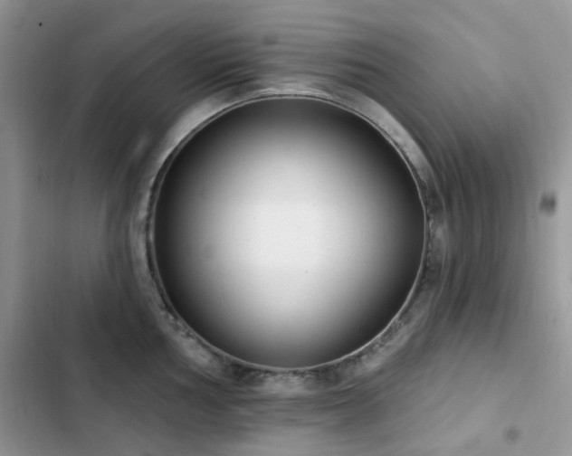 X0000102871002200808181501