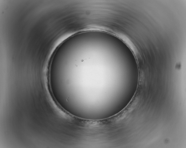 X0000102871003200808181501