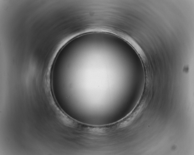 X0000102871004200808181501