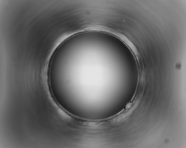 X0000102871005200808181501