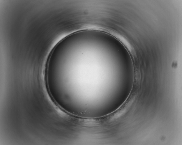 X0000102871007200808181501